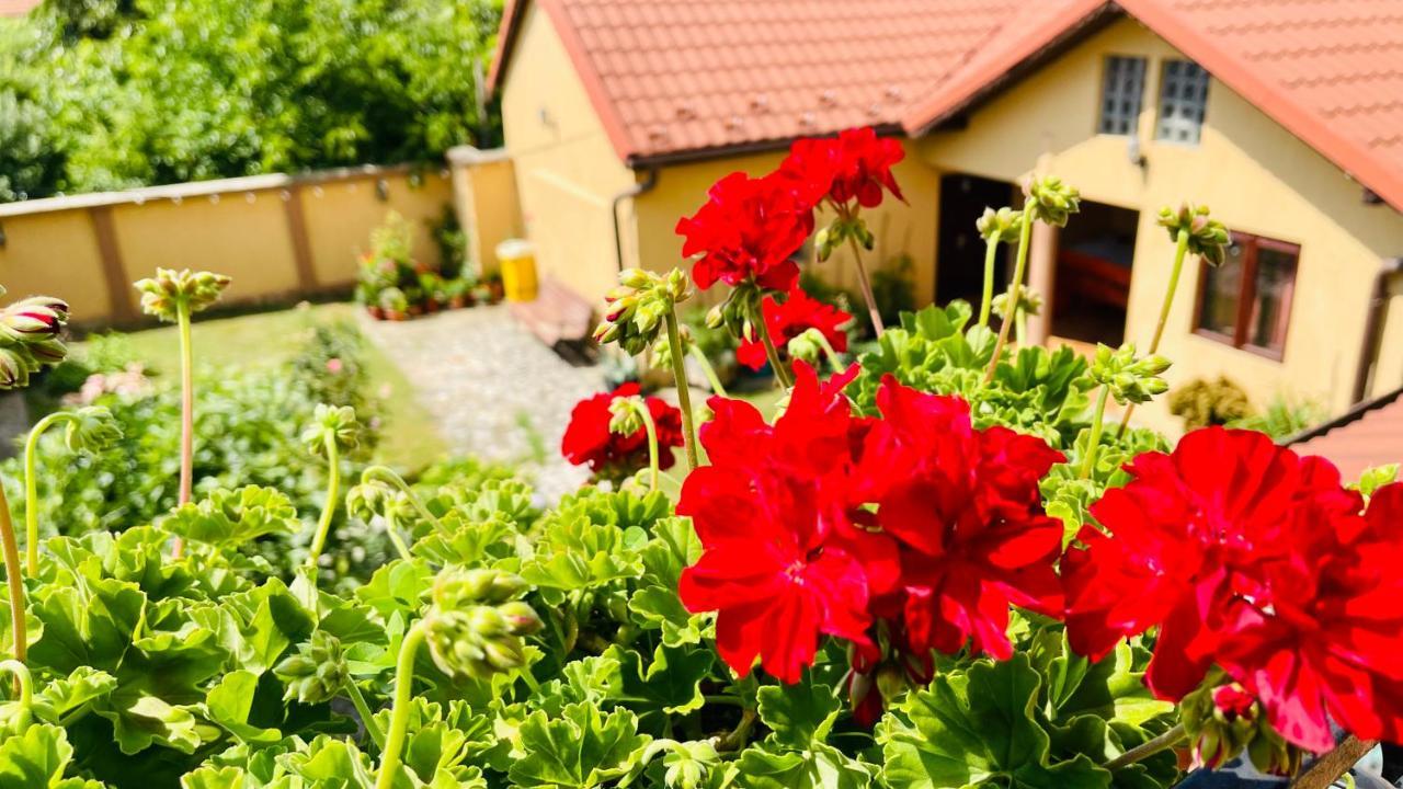 Leto House Lägenhet Târgu Jiu Exteriör bild