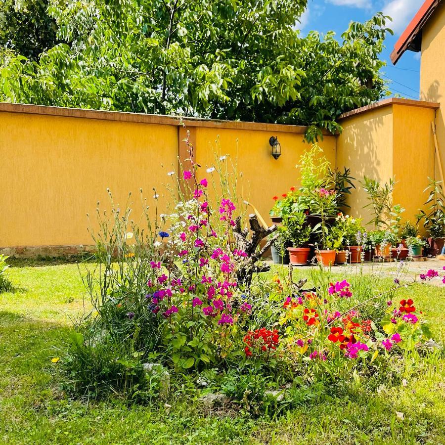 Leto House Lägenhet Târgu Jiu Exteriör bild