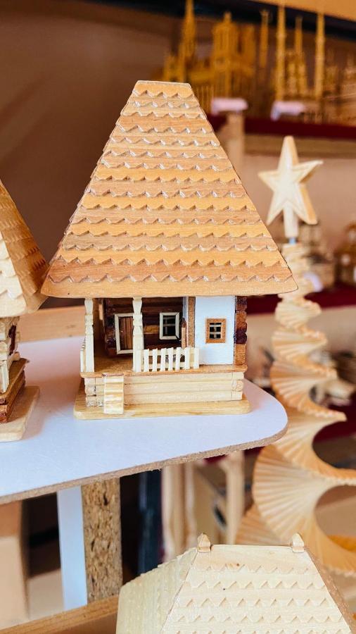 Leto House Lägenhet Târgu Jiu Exteriör bild