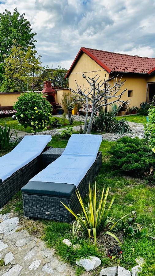 Leto House Lägenhet Târgu Jiu Exteriör bild